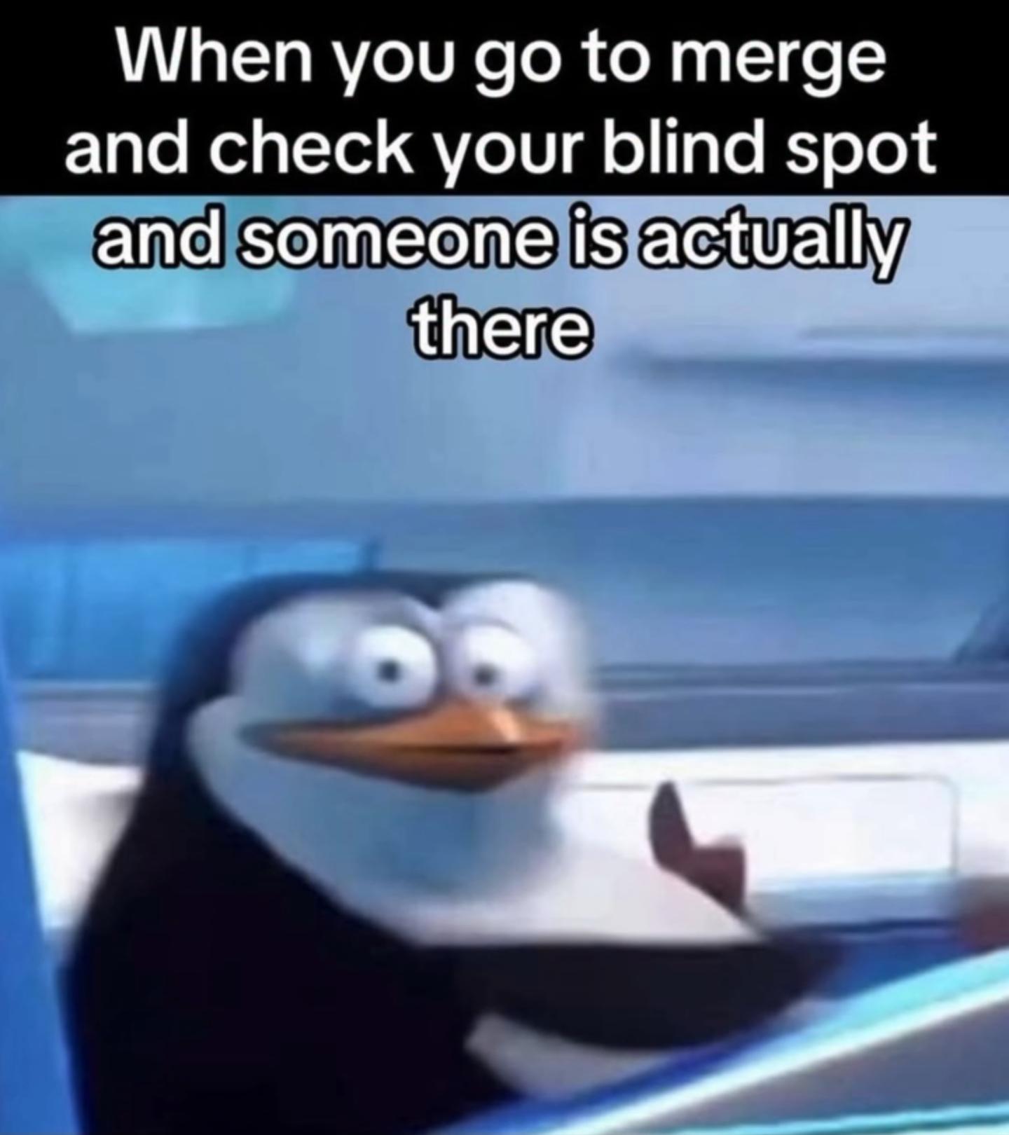 Then you hear the honks of shame