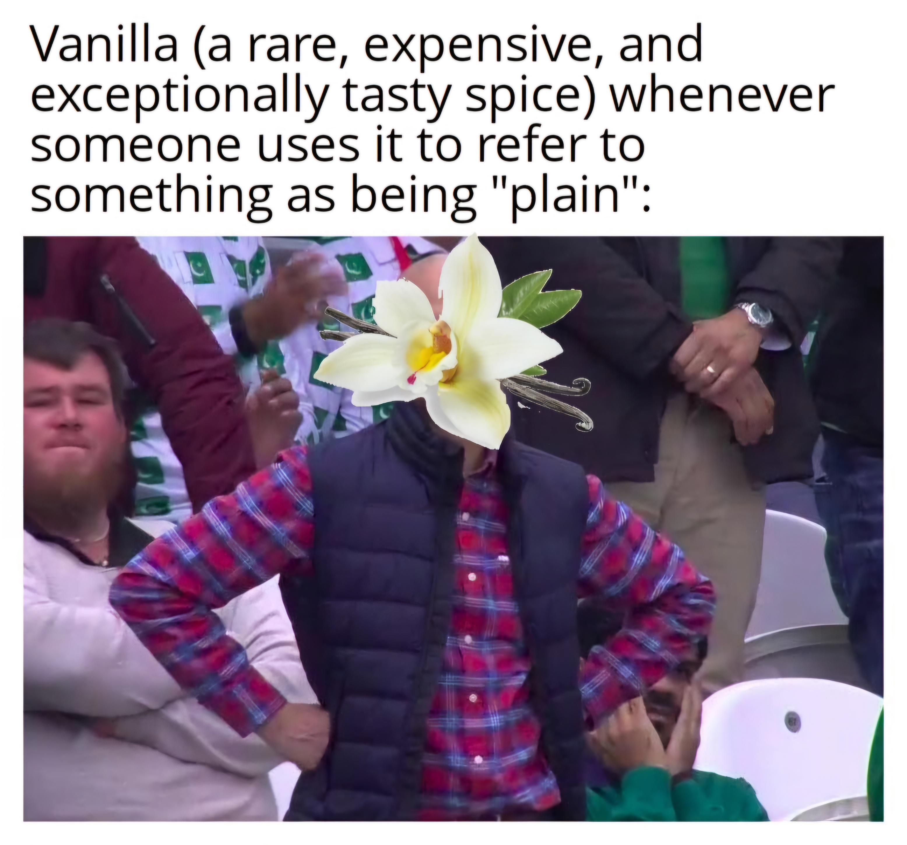 This is a vanilla meme