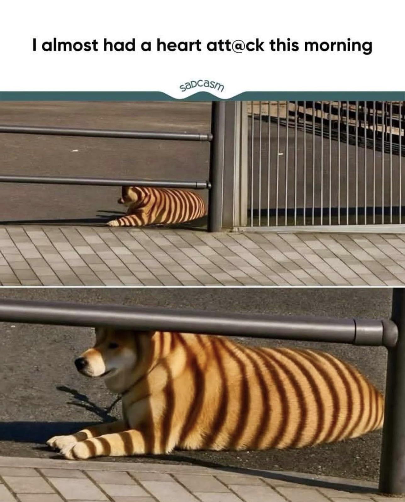 Almost had.