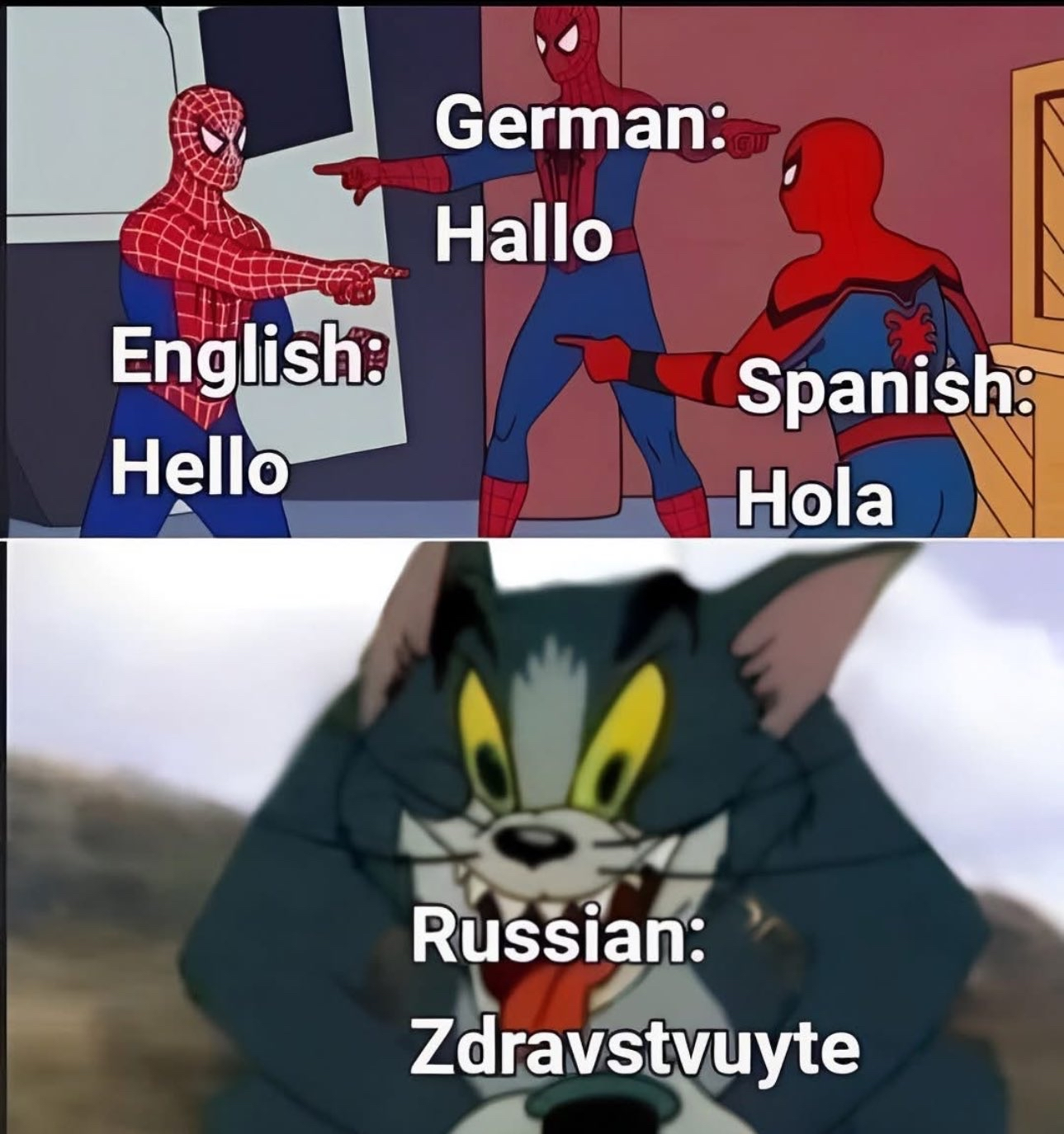 Zdravstvuyte