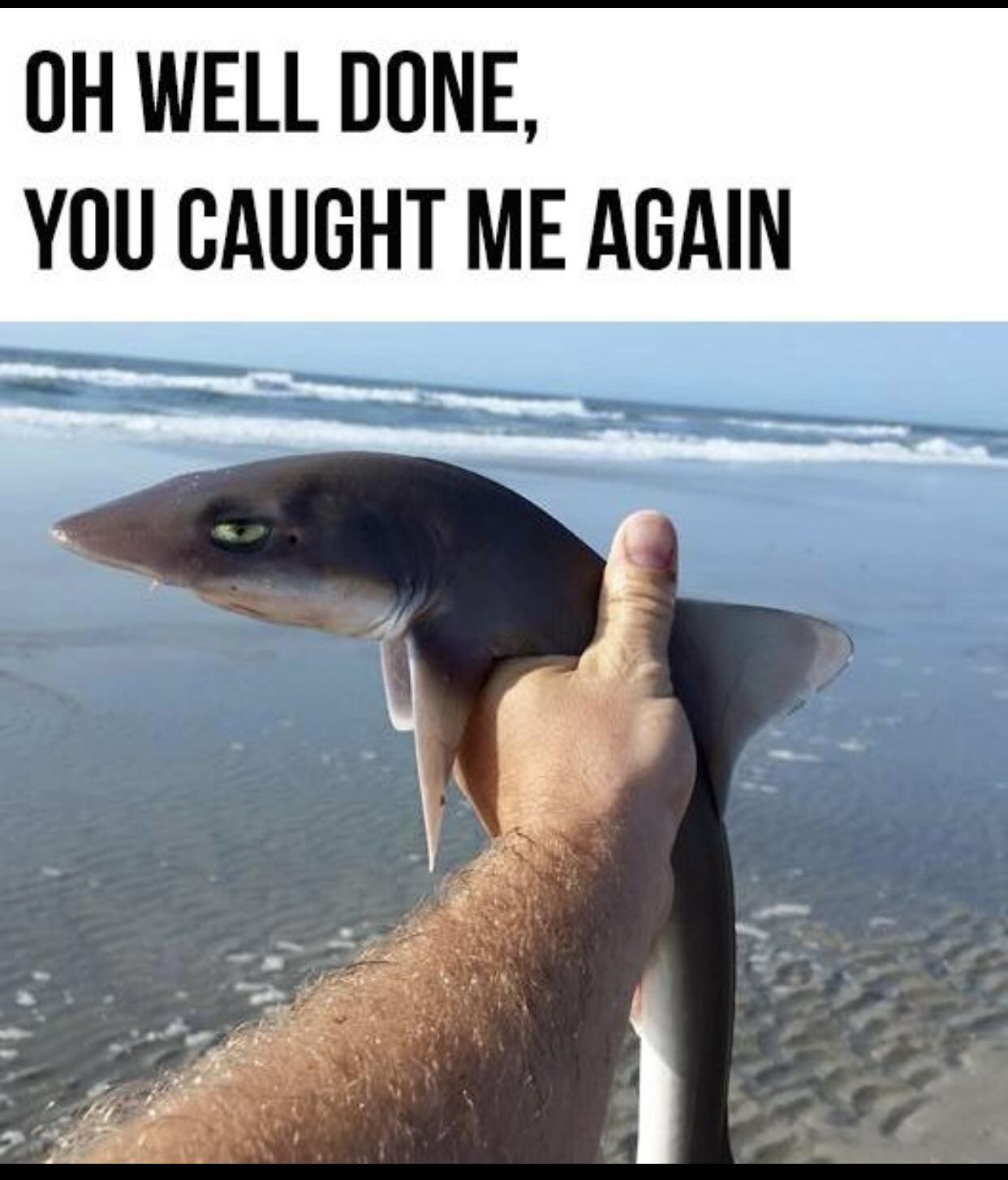 The side eyes is so hard 🤣🤣