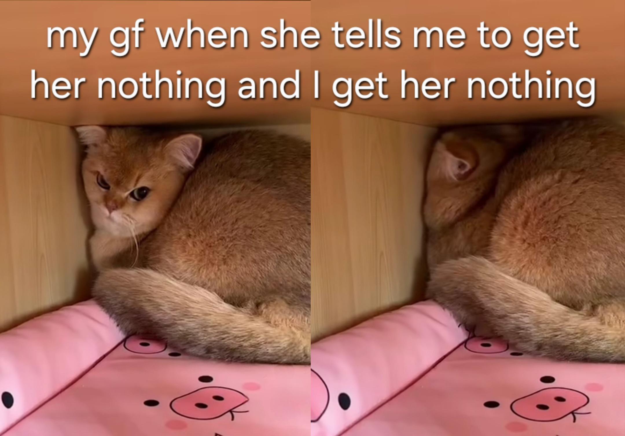 I guess sharing is out of the question at this point