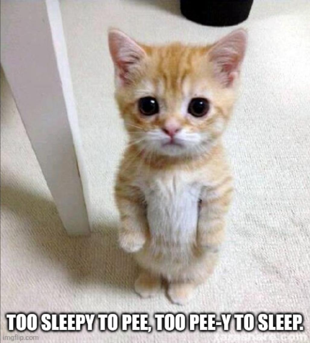 Me at 3AM.