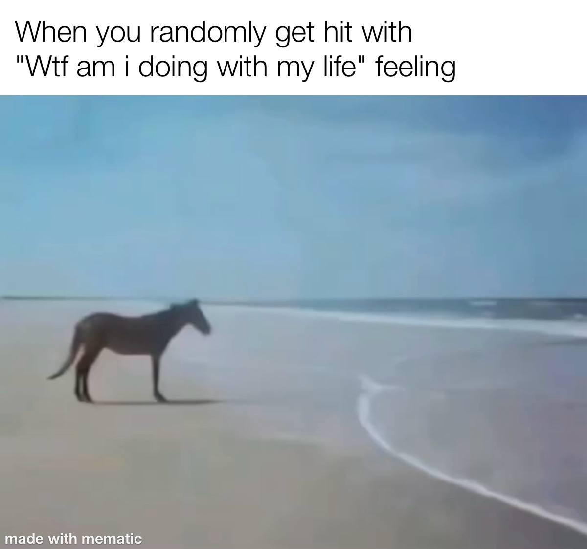 I got to change my life