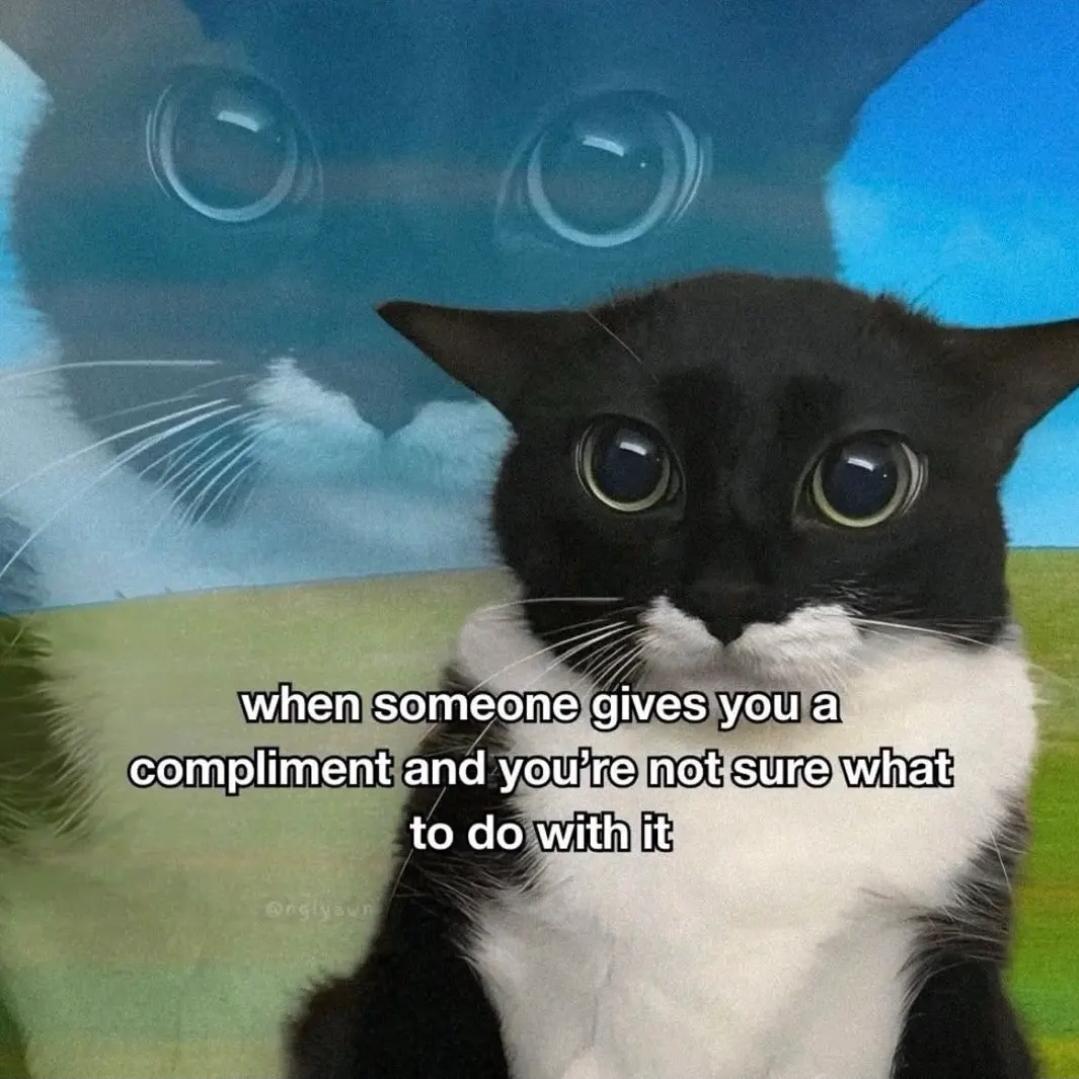 Anyone else feel like this ?
