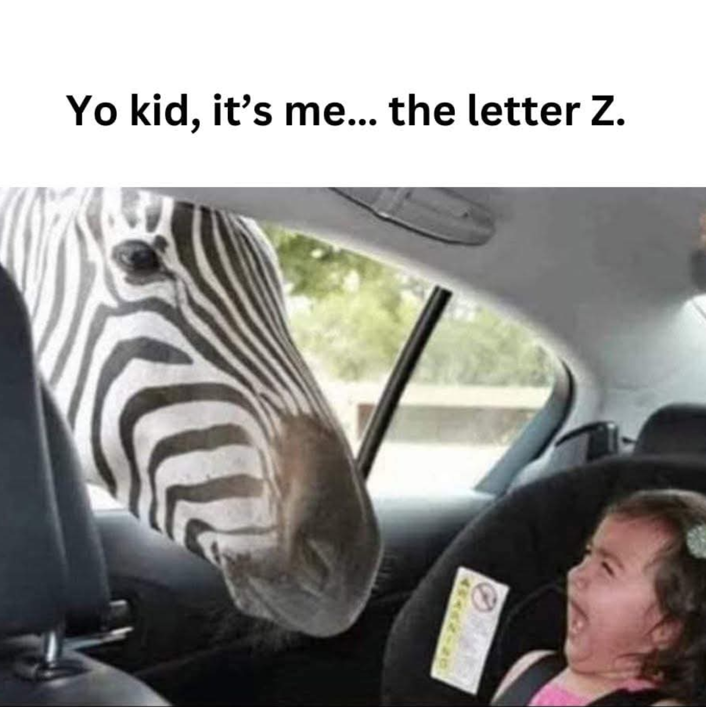 Wild experience.