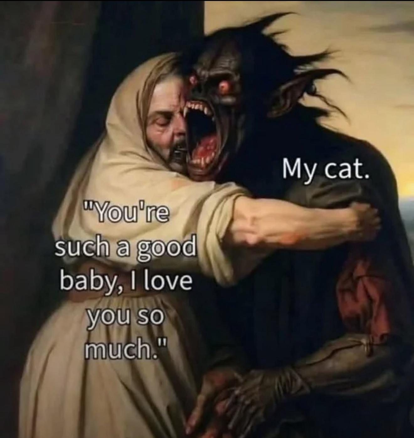 I love my cat