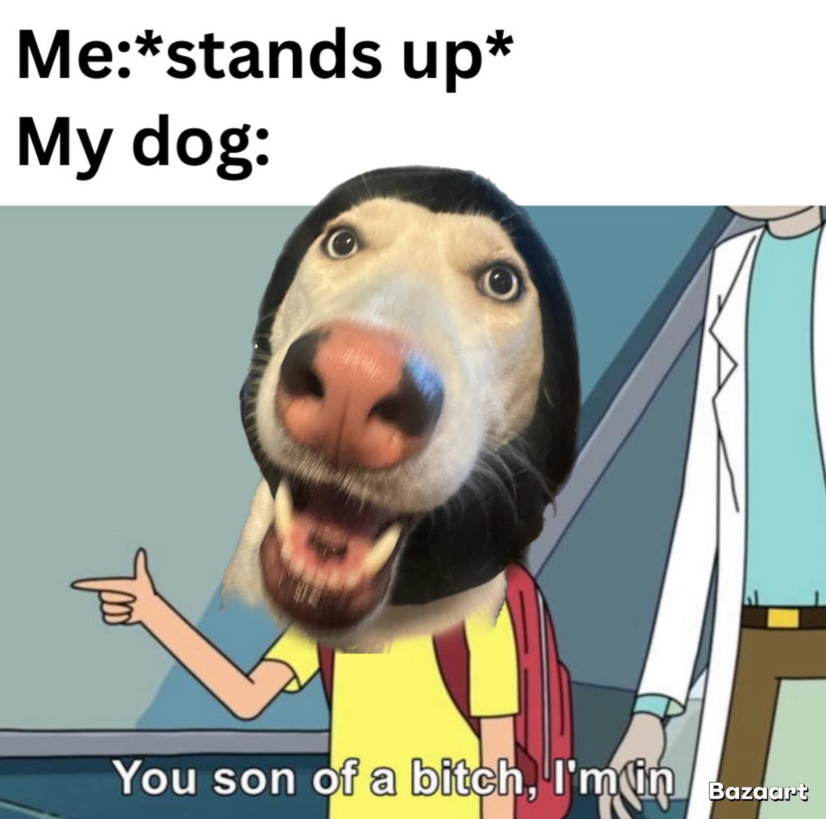 My dogs a menace