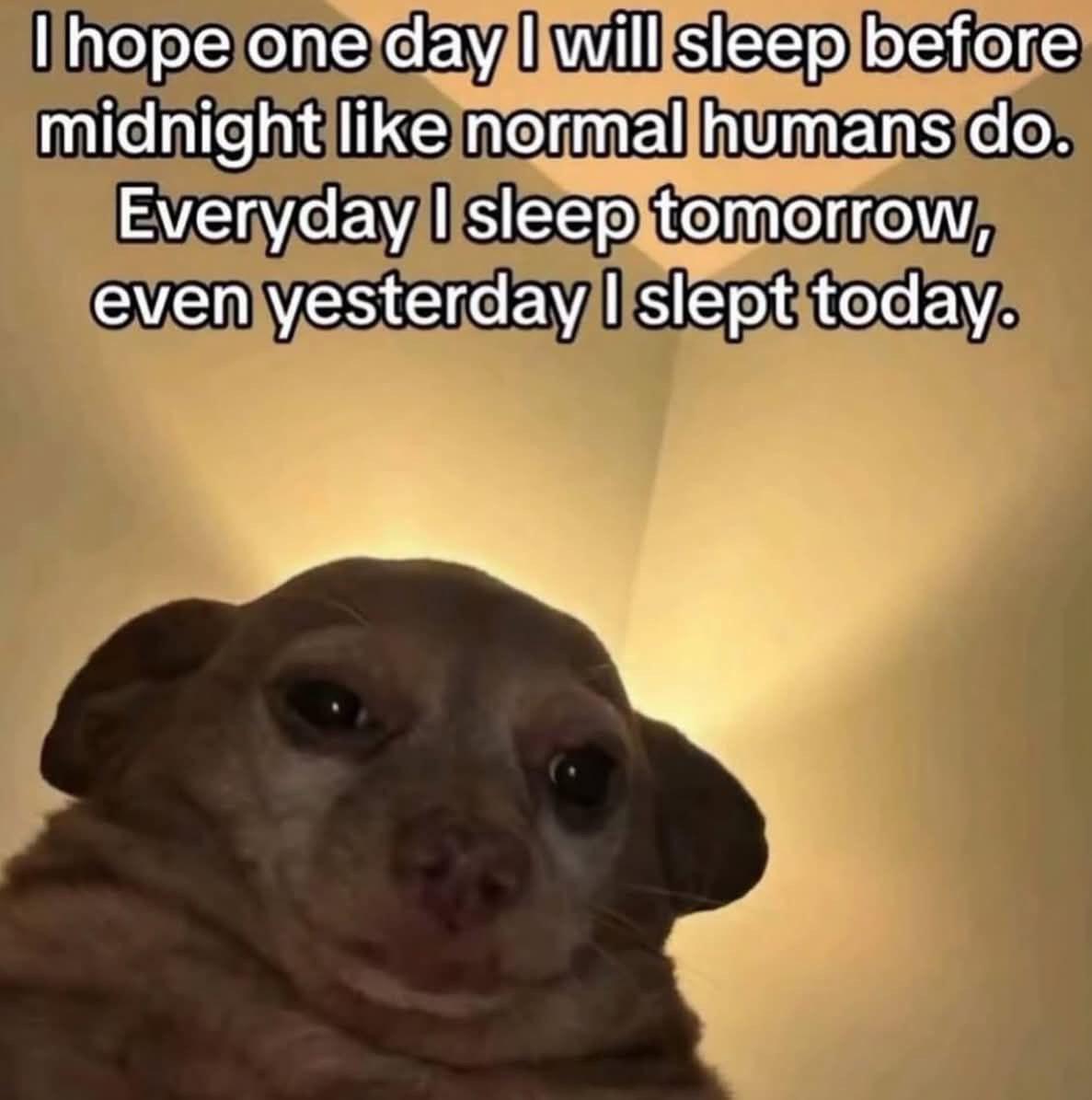 I had a dream.