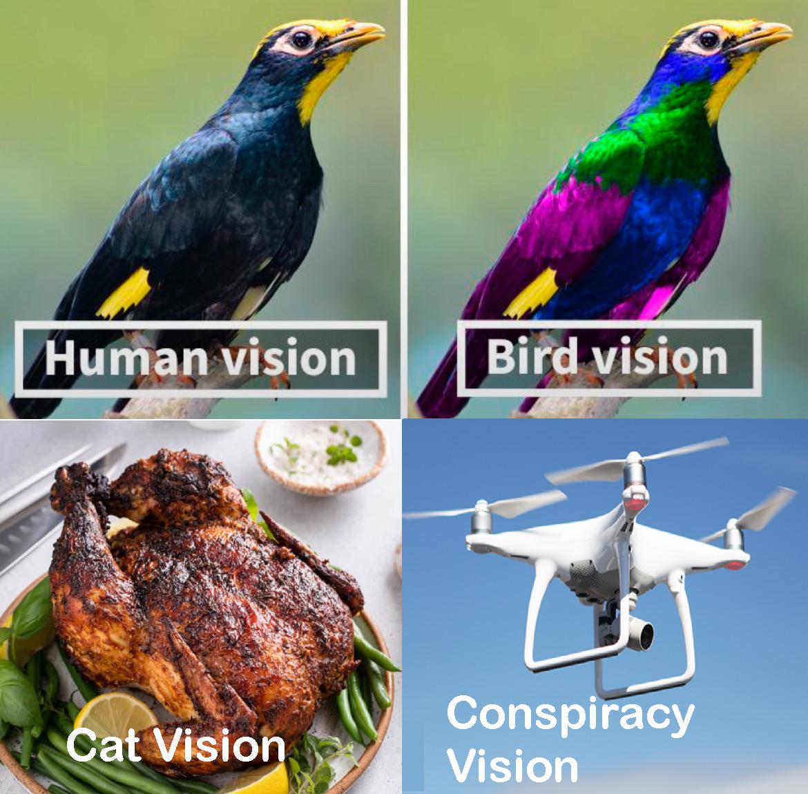 Conspiracy, or is it?