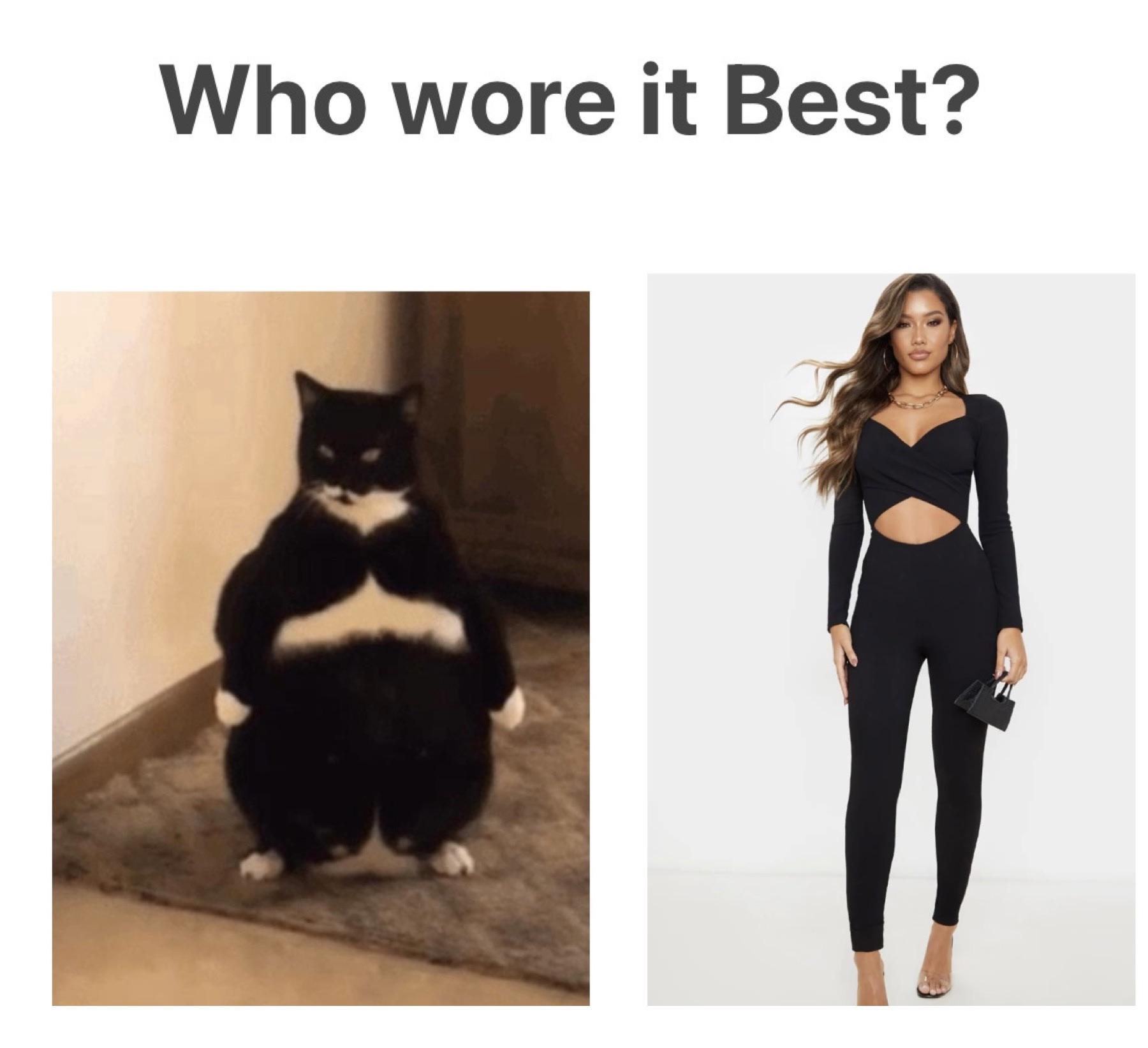 Who wore it best ?