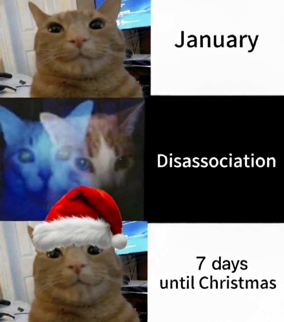 Can you guys believe it?