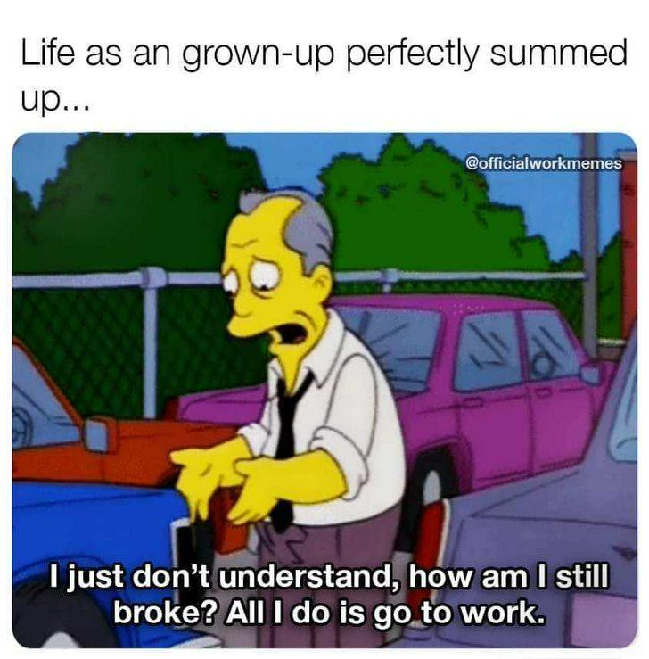 How's your adulthood going?