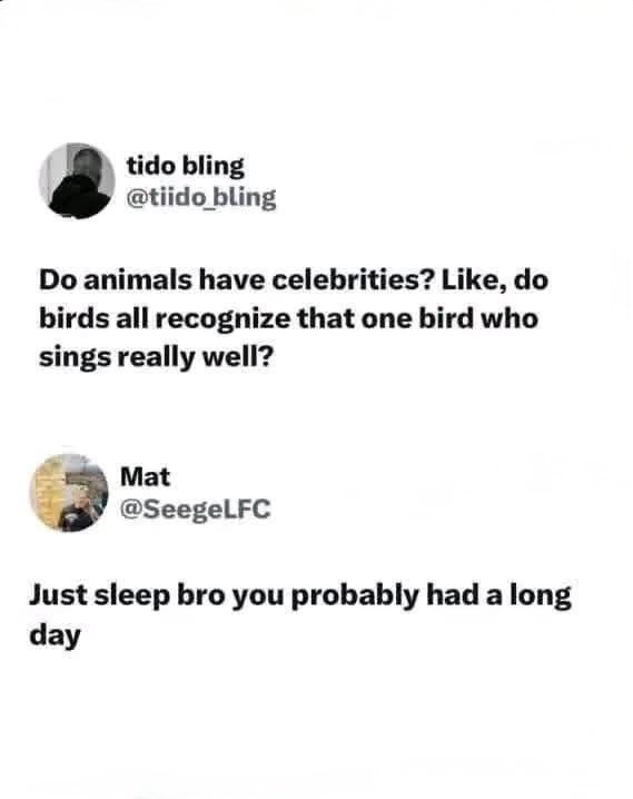 Midnight thoughts...