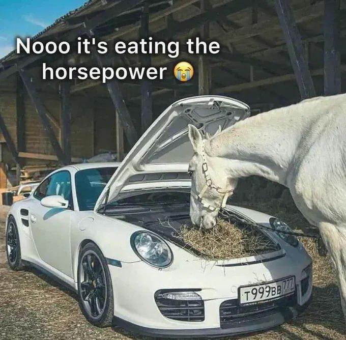 Will the horse have more horsepower?