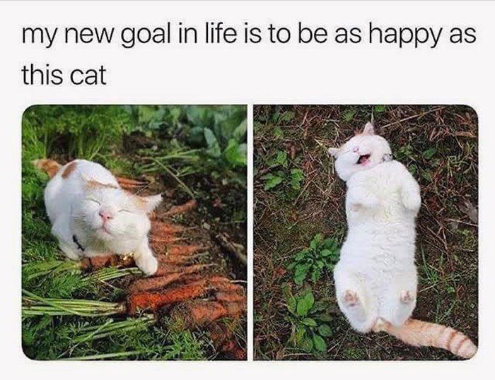 I strive for this level of joy