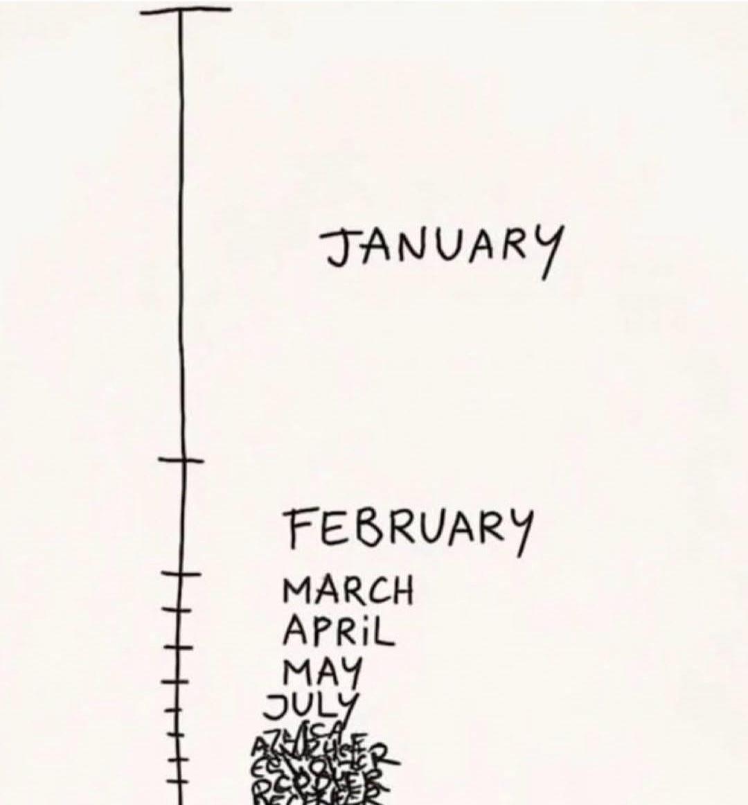 How this year went