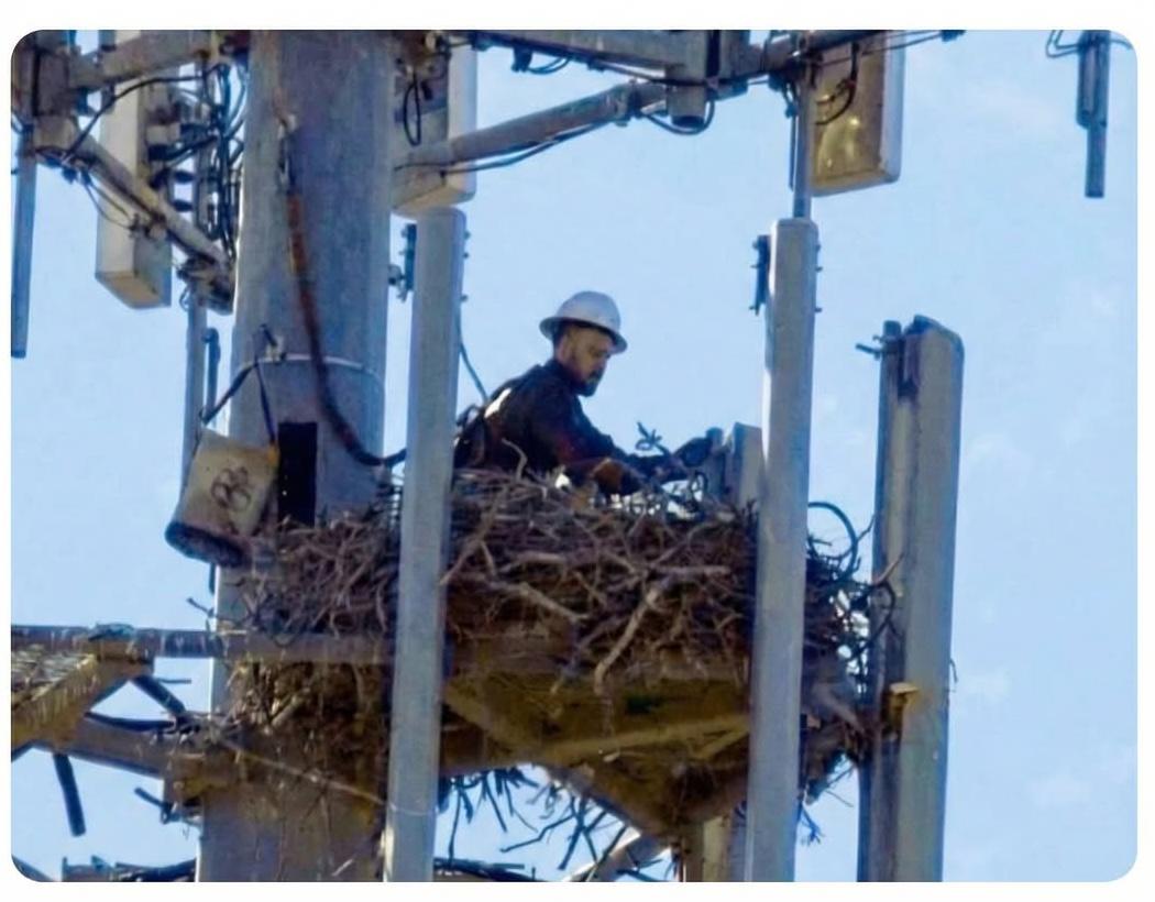 Rare photo of an engineer right after birth — still with part of the eggshell on his head.