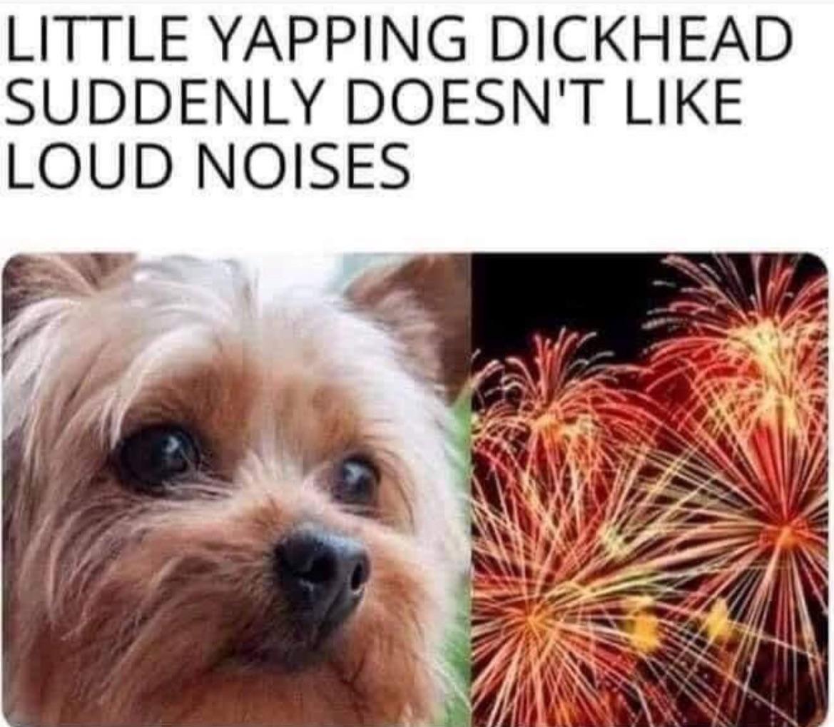 Little yapping shit