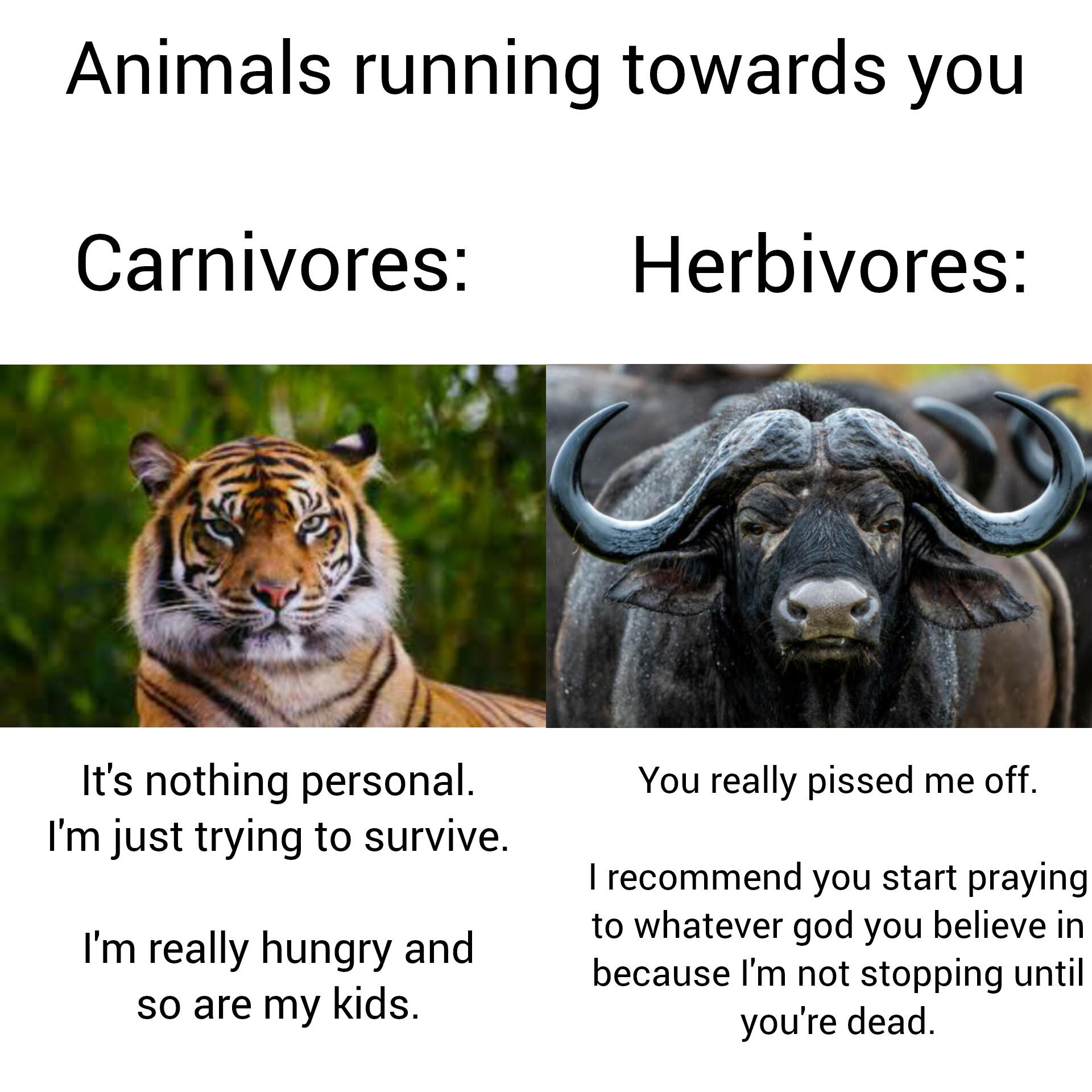 Either way, run