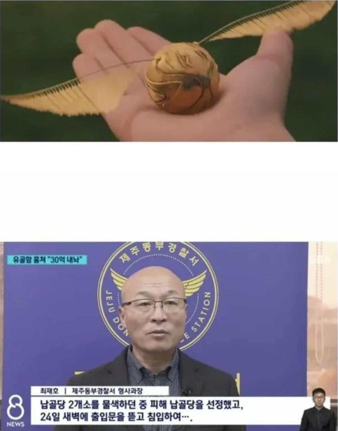 Golden Snitch has been spotted