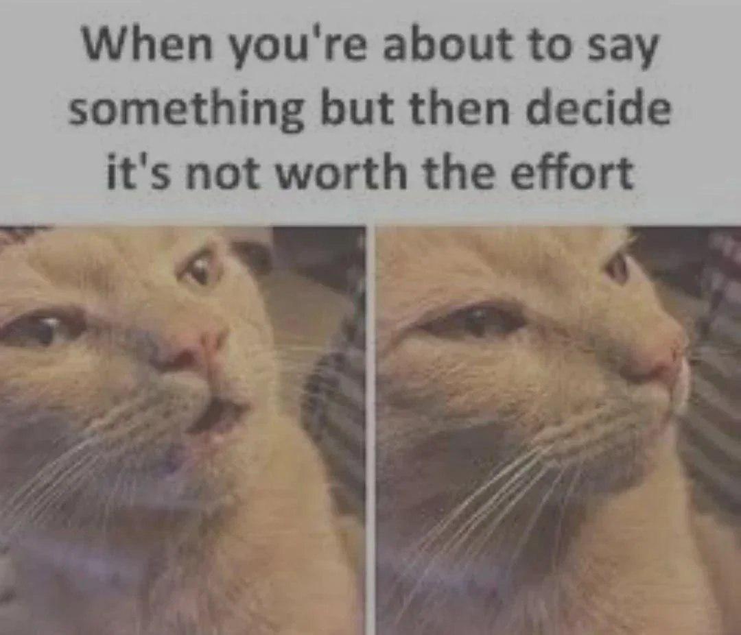 They are not worthy of my words!!