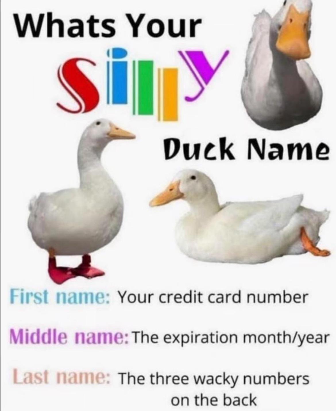 What’s your silly duck name :D