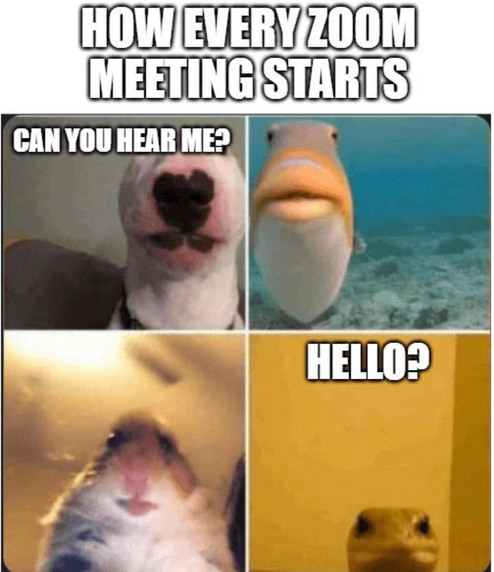 Am i audible? 😂