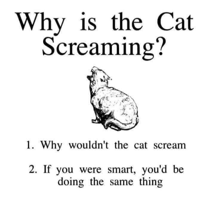 The Question