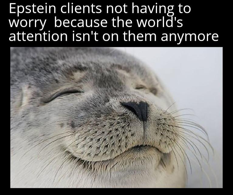 Plan successful boys