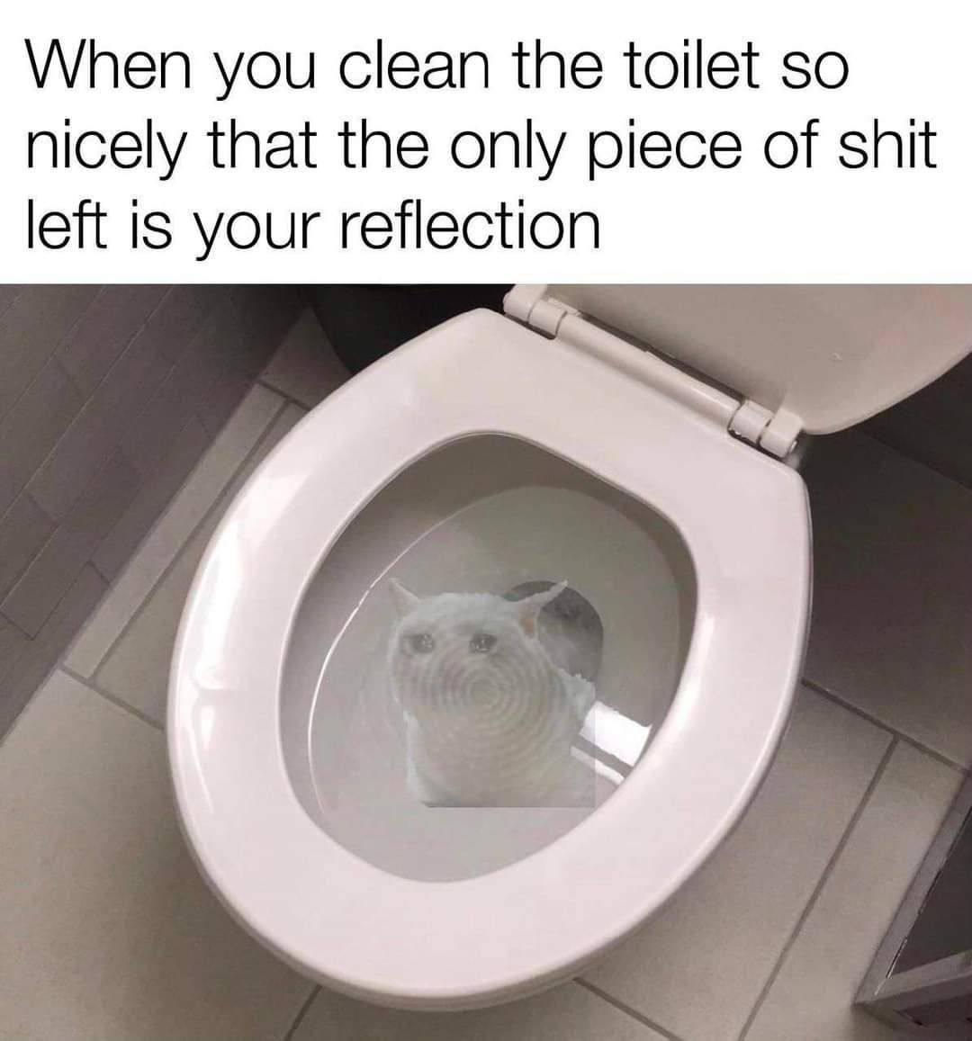 POV: You POS