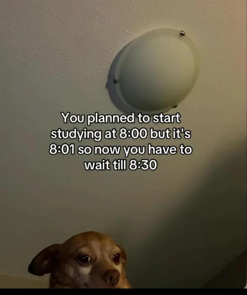 Can start studying at these odds hours