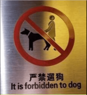 Do not dog