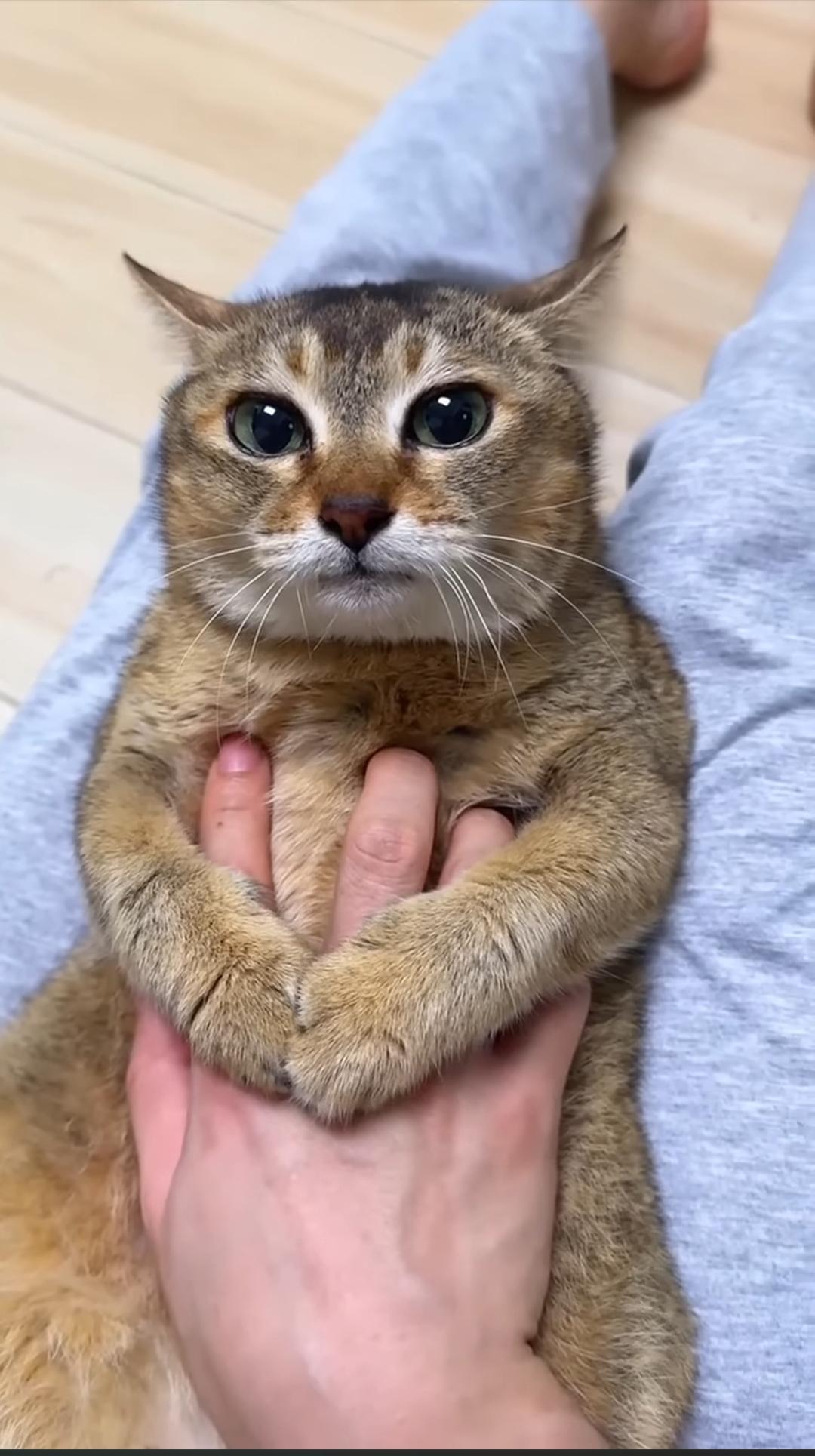 Stop scrolling!! and let me hold your hand for a sec