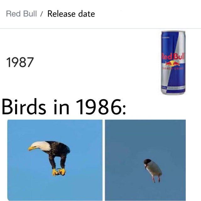 "Red bull gives you wings".
