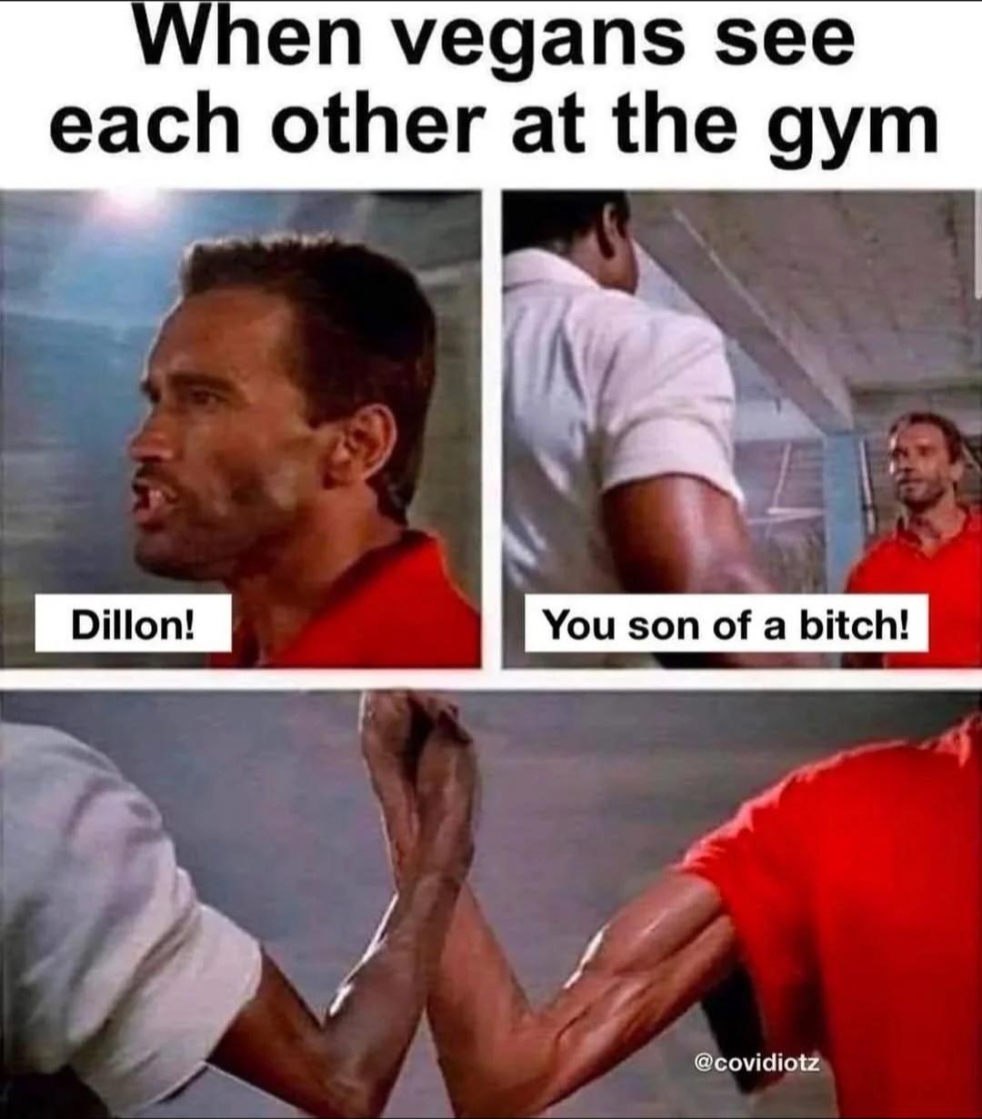 When vegans see each other at the gym