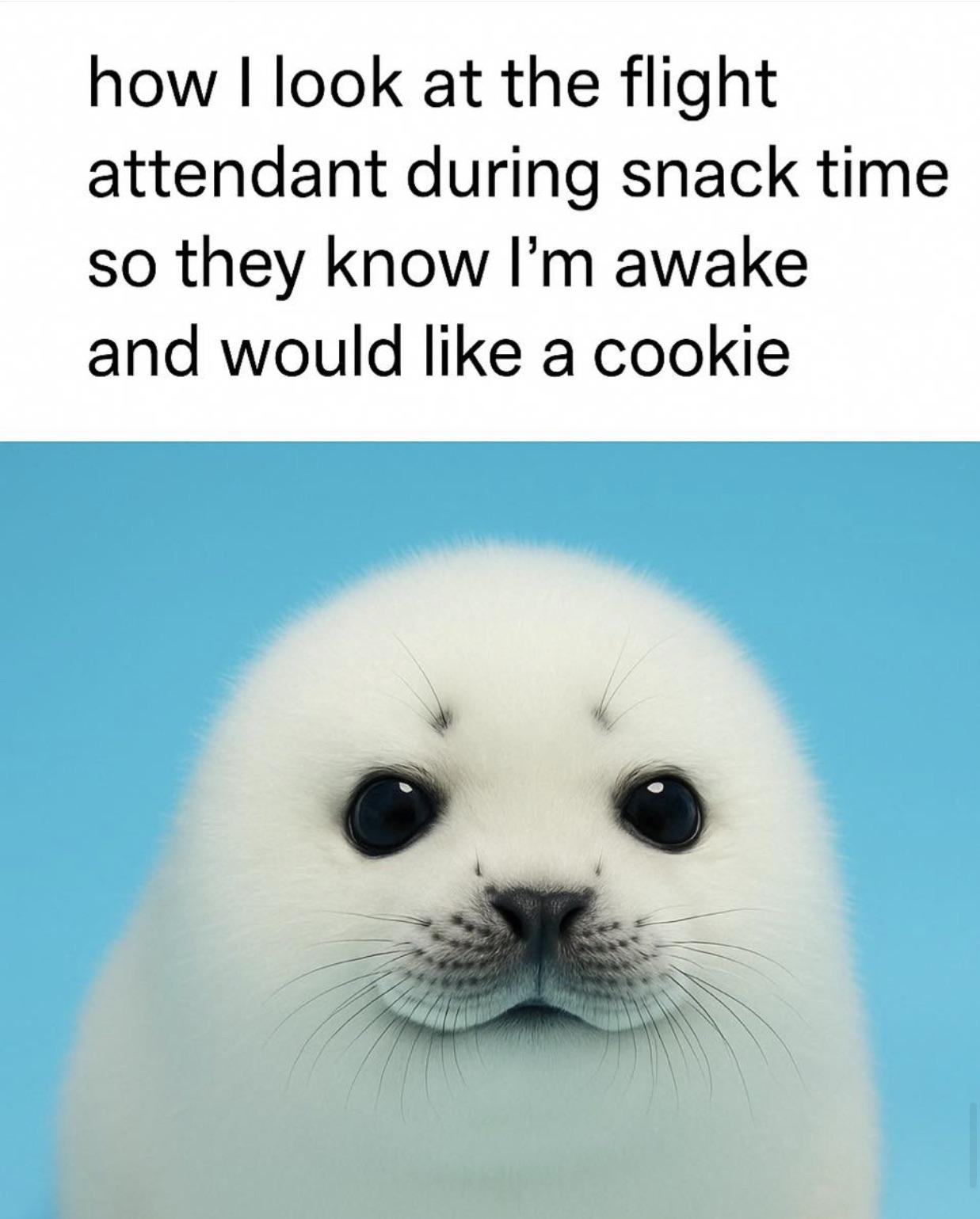 😇😴🥸 M awake