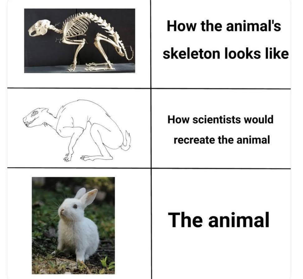 We found a new species 😂