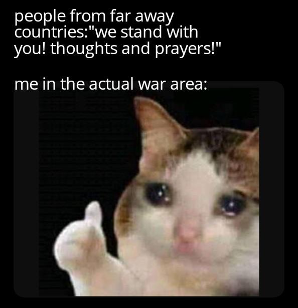 ok i guess