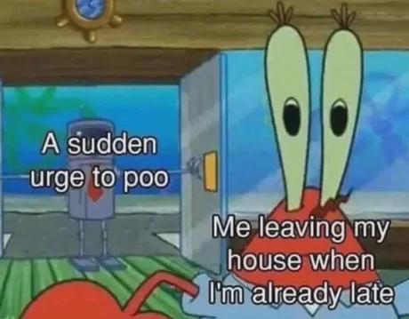 A wild poop appeared