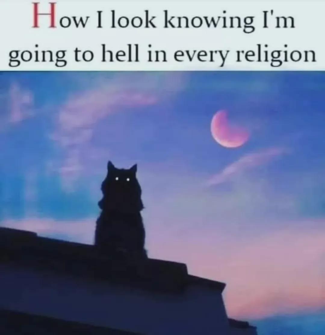 I'm happy with my life choices 🙂