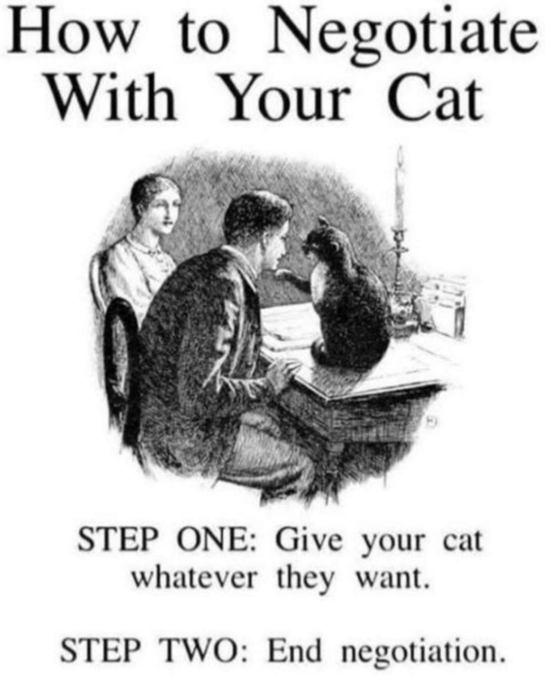 Art of Negotiating with your Cat