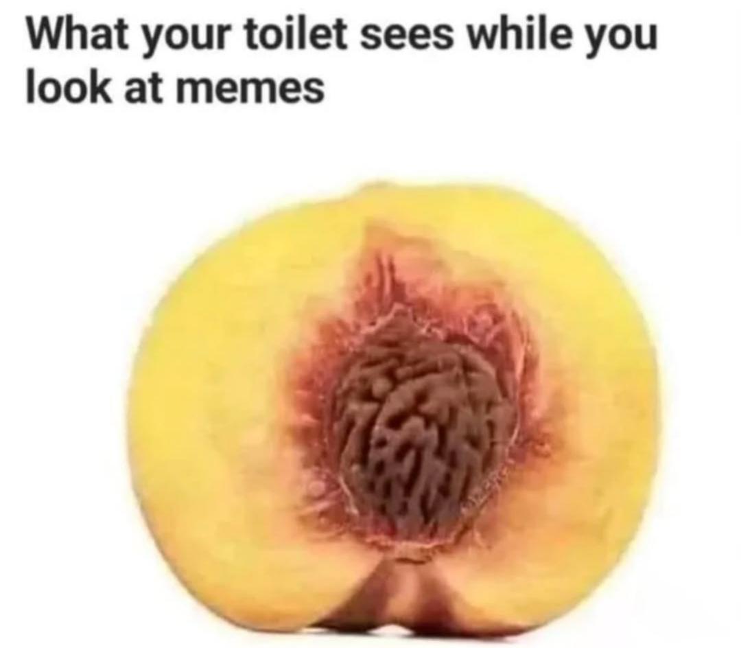 The trauma your toilet can't unsee💀