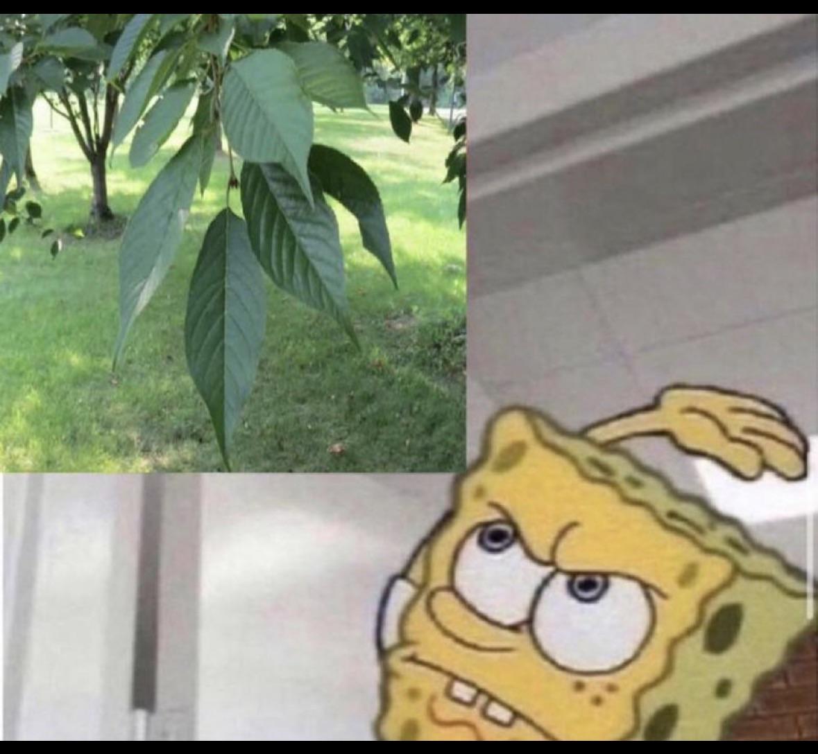 I hope I'm not the only one