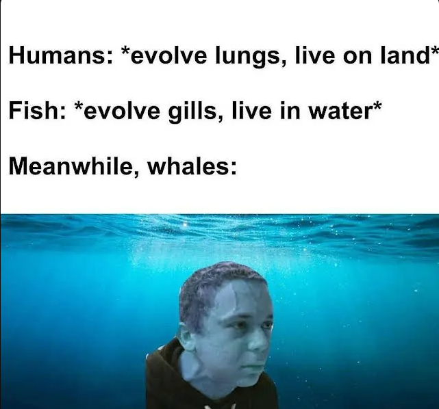 Nature’s biggest plot twist.