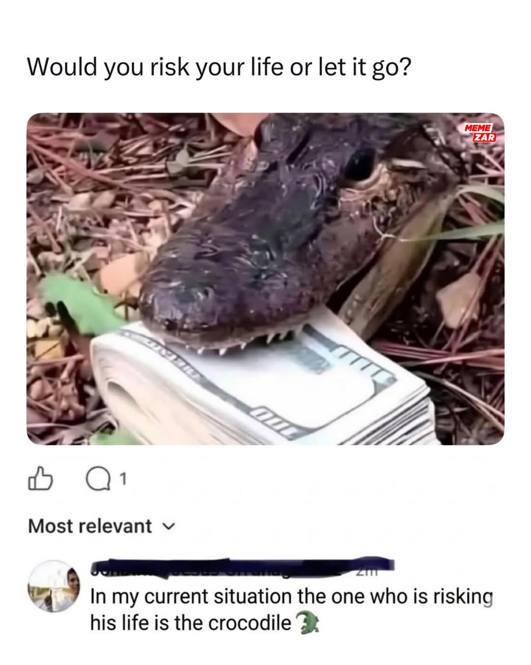 When life gives you one risky choice and one broke option.