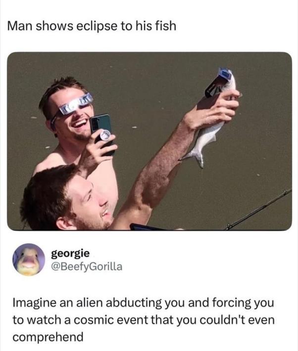 the fish did not consent to this