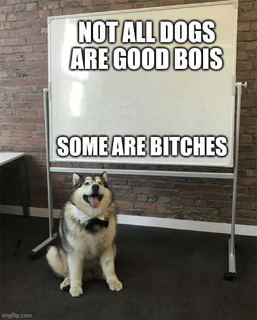 13/10 heccing good pupper