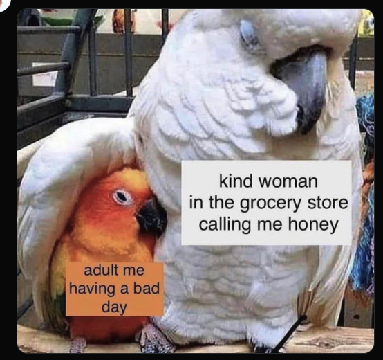 Me, hiding my tears under a hoodie, and the sweet old lady: 'Oh, sweetheart, don’t you worry