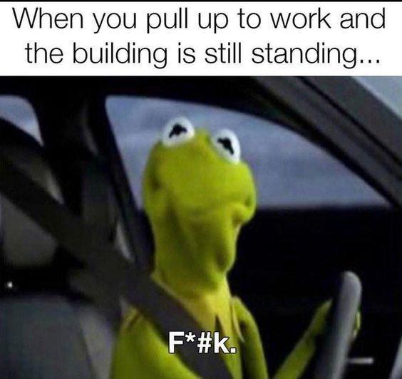 And it's the same every morning